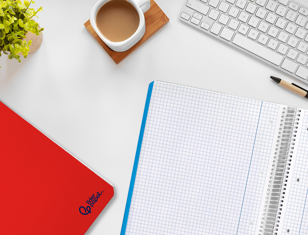 CAHIER SPIRALE LIDERPAPEL SERIE SMART COUVERTURE        CARTONNEE A4 21X29,7CM 80F    60G/M2 5X5MM COIL-LOCK