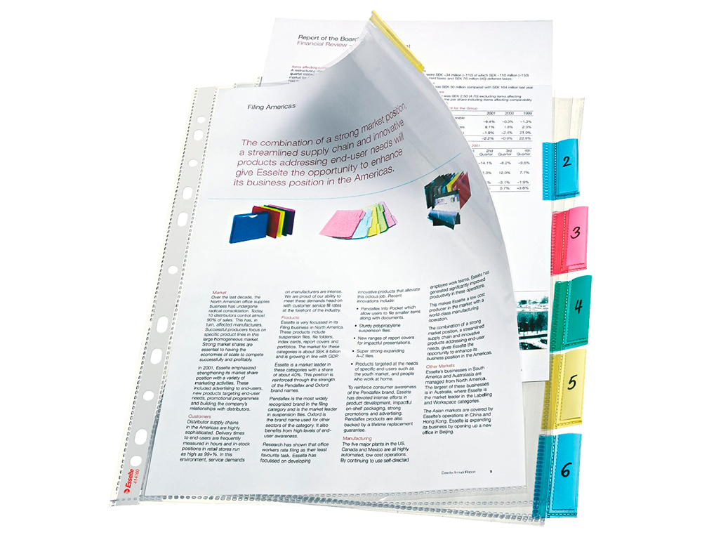 POCHETTE INTERCALAIRE ESSELTE POLYPROPYLNE TRANSPARENT A4 6 TOUCHES ONGLETS BANDE PERFORE 11 TROUS COPYSAFE