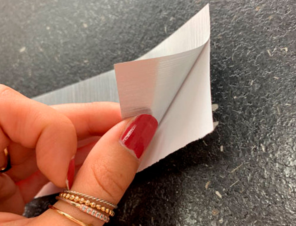 PLAQUE DE PORTE LOCAL MENAGE SIGNALETIQUE BIZ PICTOGRAMME  EN ALUMINIUM BROSSE DOUBLE    FACE AUTOCOLLANT DOS 170X50MM