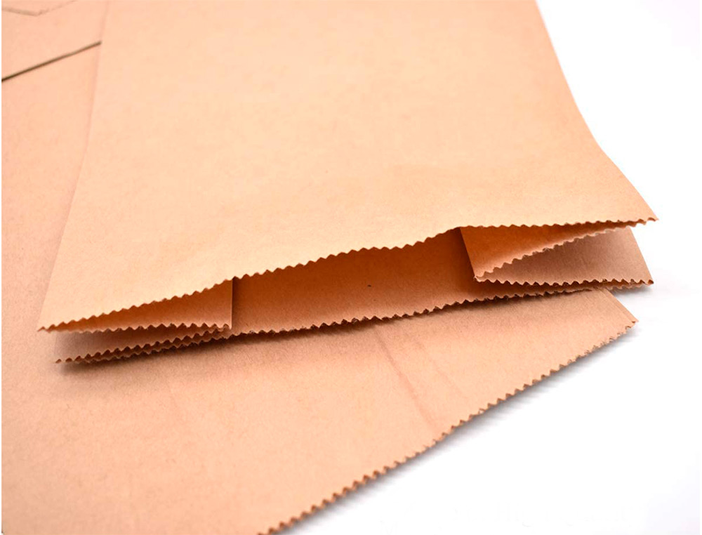 SACHET ALIMENTAIRE KRAFT BRUN 70G/M2 BIODEGRADABLE 30X50X8CM LOT DE 100