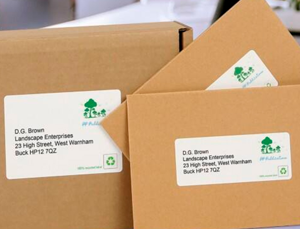ETIQUETTE AUTOCOLLANTE AVERY ADRESSE RECYCLEE LASER BLANC  99,1 X 38,1MM BOITE DE 210