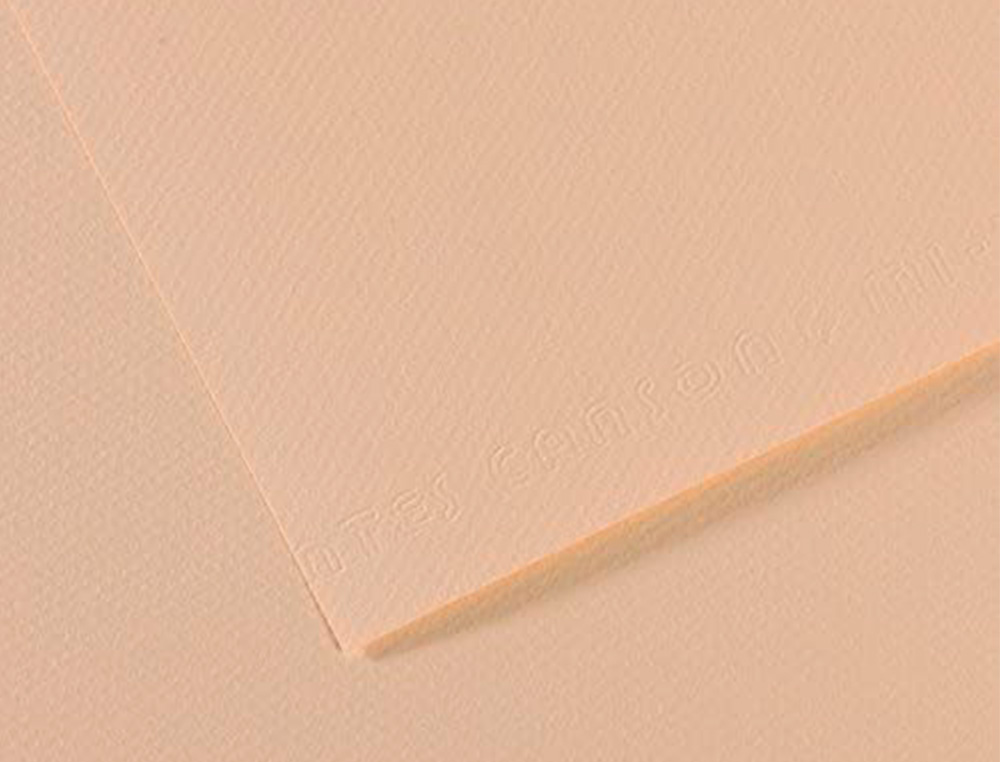 PAPIER DESSIN CANSON FEUILLE MI-TEINTES N 112 GRAIN        GELATINE HAUTE TENEUR COTON   160G 50X65CM COULEUR COQUILLE