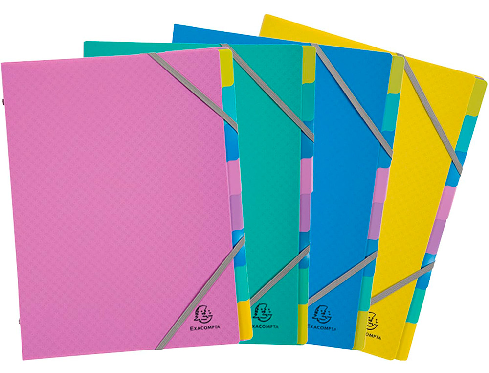TRIEUR EXACOMPTA POLYPROPYLENE 3 RABATS        FOREVER YOUNG 8 COMPARTIMENTS