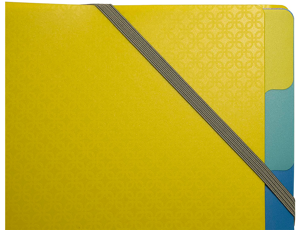 TRIEUR EXACOMPTA POLYPROPYLENE 3 RABATS        FOREVER YOUNG 8 COMPARTIMENTS