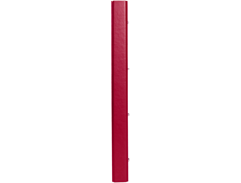 CLASSEUR ANTARTIK 4 ANNEAUX RONDS 25MM A4 CARTON REMBORDE FEUILLETS MOBILES 5X5         FRAMBOISE