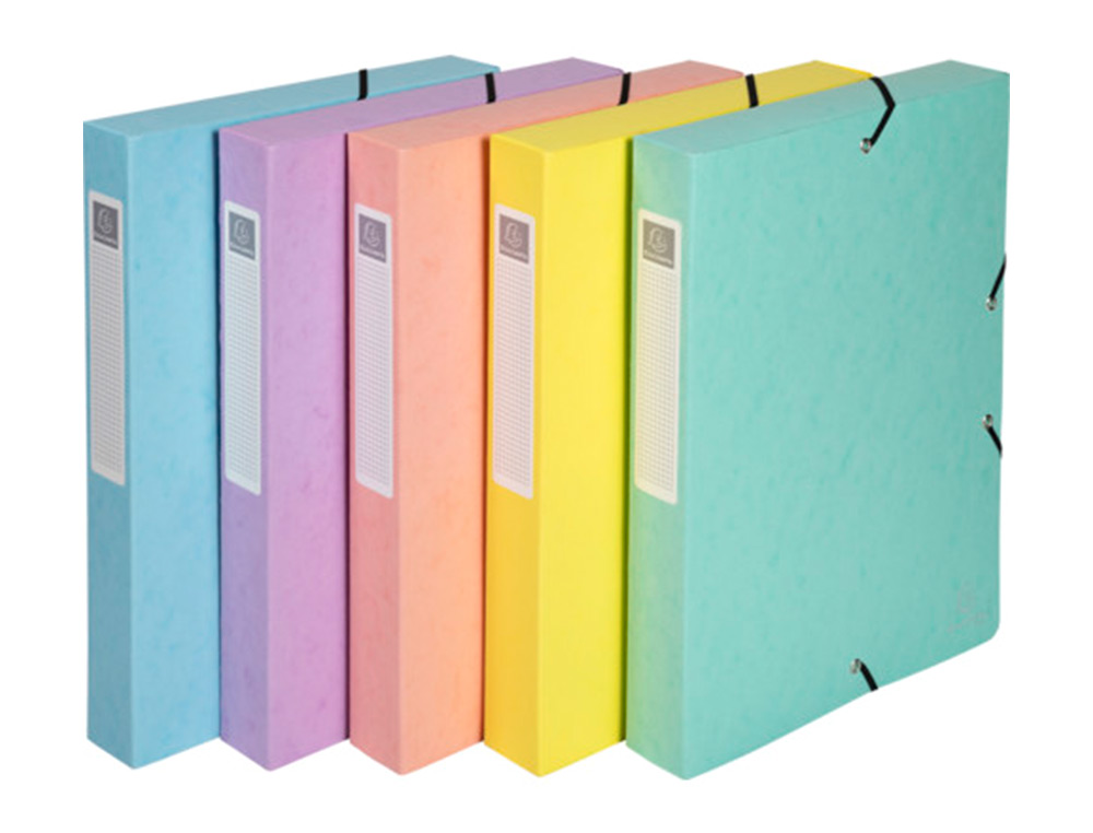 BOITE DE CLASSEMENT EXABOX AQUAREL A4 DOS25MM ASSORTIMENT