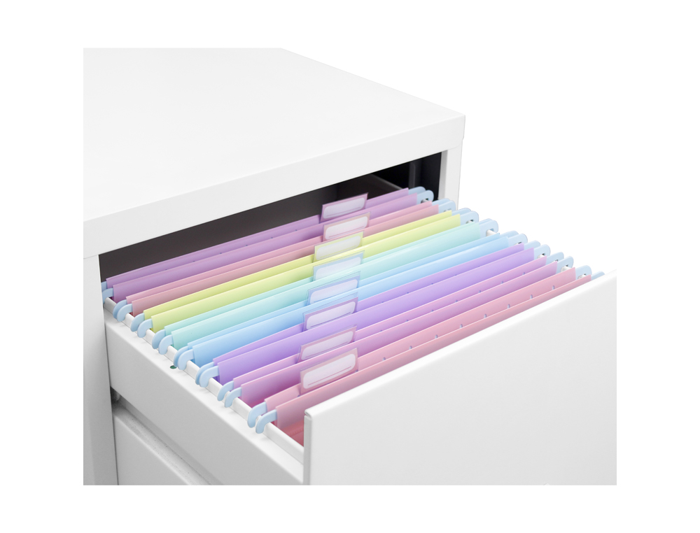 DOSSIER SUSPENDU VIQUEL RAINBOW PASTEL POLYPROPYLENE  COLORIS ASSORTIS LOT 8 UNITES