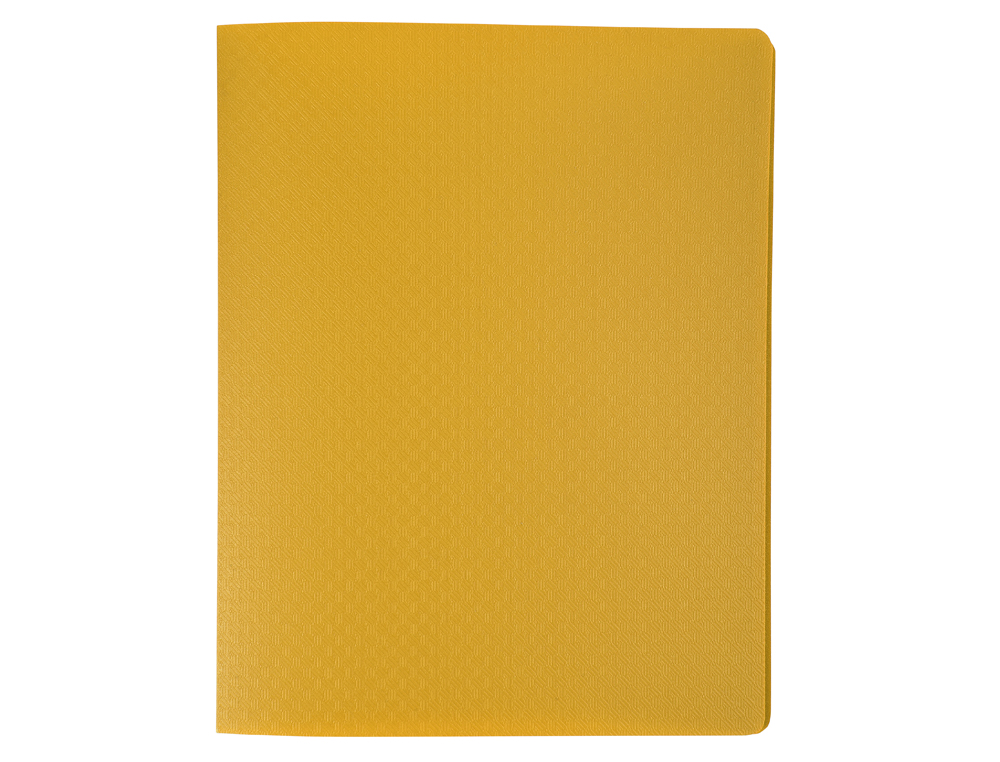 PORTE-VUES EXACOMPTA OPAK PP 40 VUES 17X22CM COLORIS       ASSORTIS