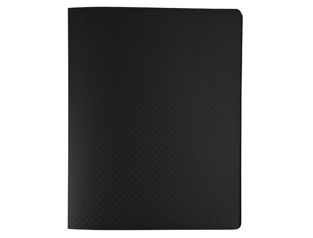 PORTE-VUES EXACOMPTA OPAK PP 40 VUES 17X22CM COLORIS       ASSORTIS