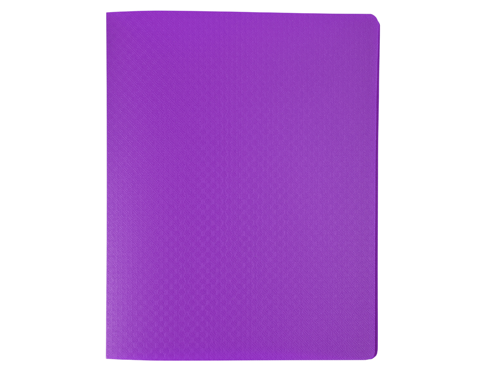 PORTE-VUES EXACOMPTA OPAK PP 40 VUES 17X22CM COLORIS       ASSORTIS