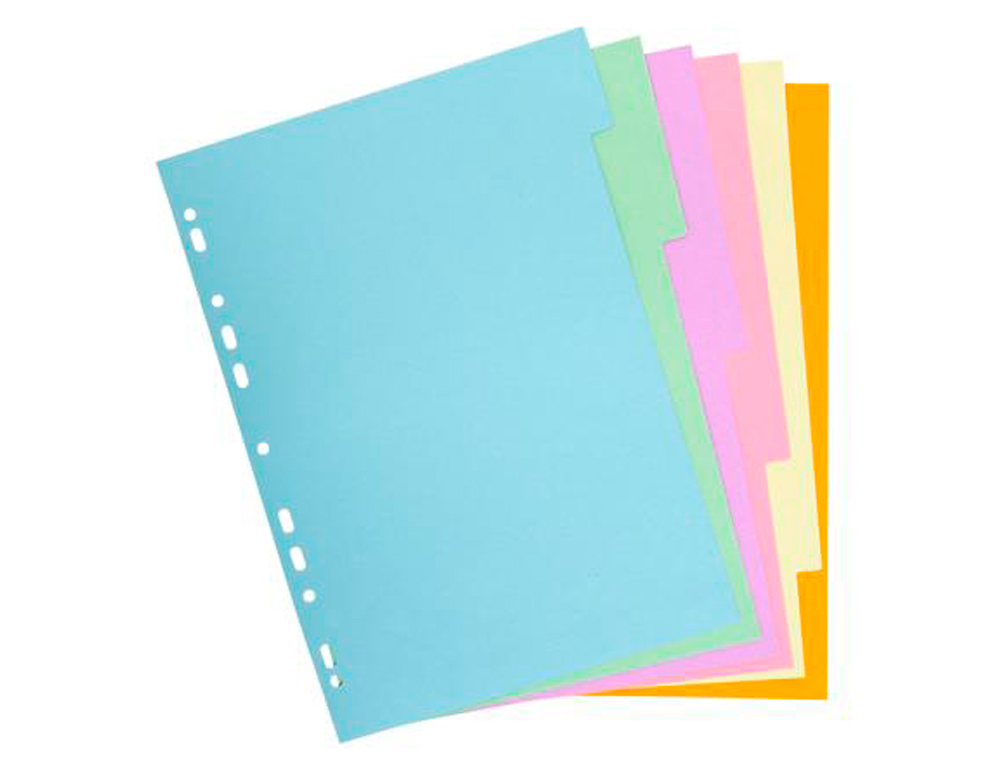 INTERCALAIRE EXACOMPTA CARTE FORTE RECYCLEE 170GR 17X22CM  6 POSITIONS COLORIS PASTEL