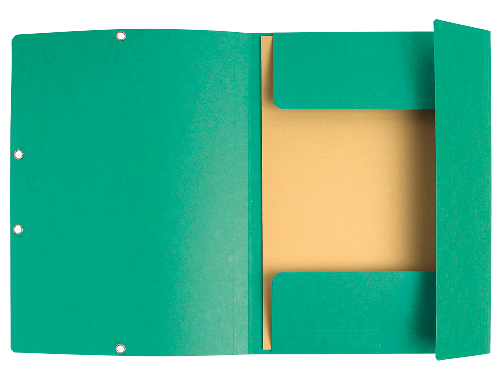 CHEMISE EXACOMPTA 3 RABATS CARTE LUSTREE 355GR A4        FERMETURE ELASTIQUE ETIQUETTE COLORIS VERT LOT 10 UNITES
