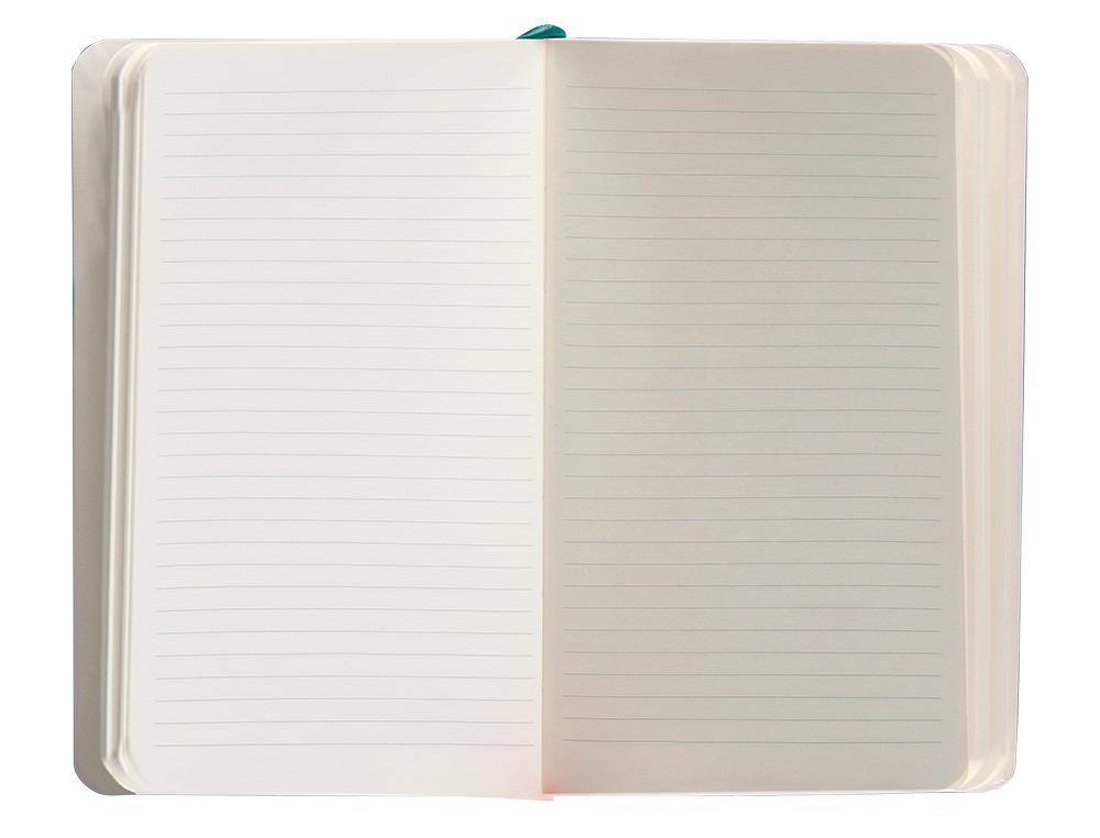 CARNET FERMETURE ELASTIQUE ANTARTIK NOTES COUVERTURE     SOUPLE A6 LIGNE 100 FEUILLES  80GR FSC COLORIS VERT PAON
