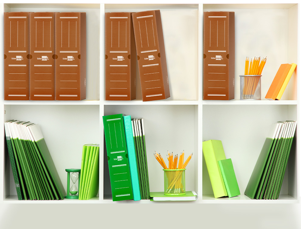 BOITE A ARCHIVES LIDERPAPEL POLYPROPYLENE ONDULE DOS      100MM 360X100X260MM COLORIS   MARRON