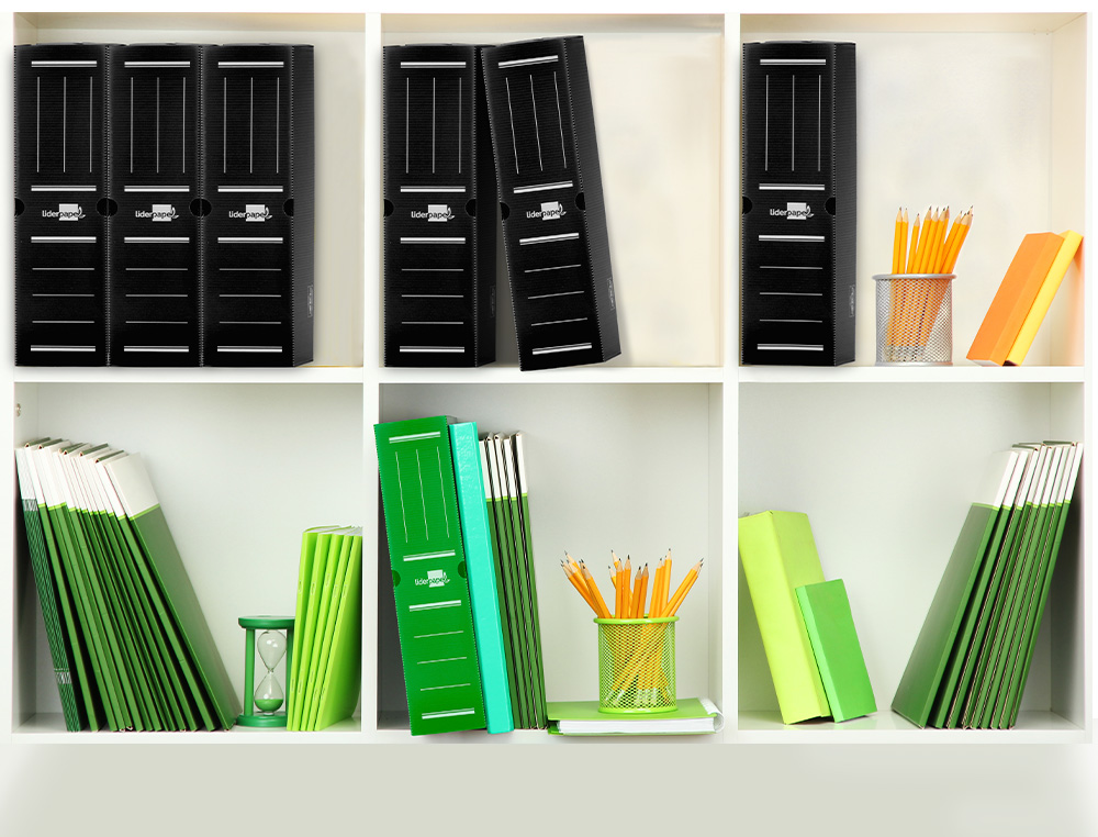 BOITE A ARCHIVES LIDERPAPEL POLYPROPYLENE ONDULE DOS 100MM 360X100X260MM COLORIS NOIR