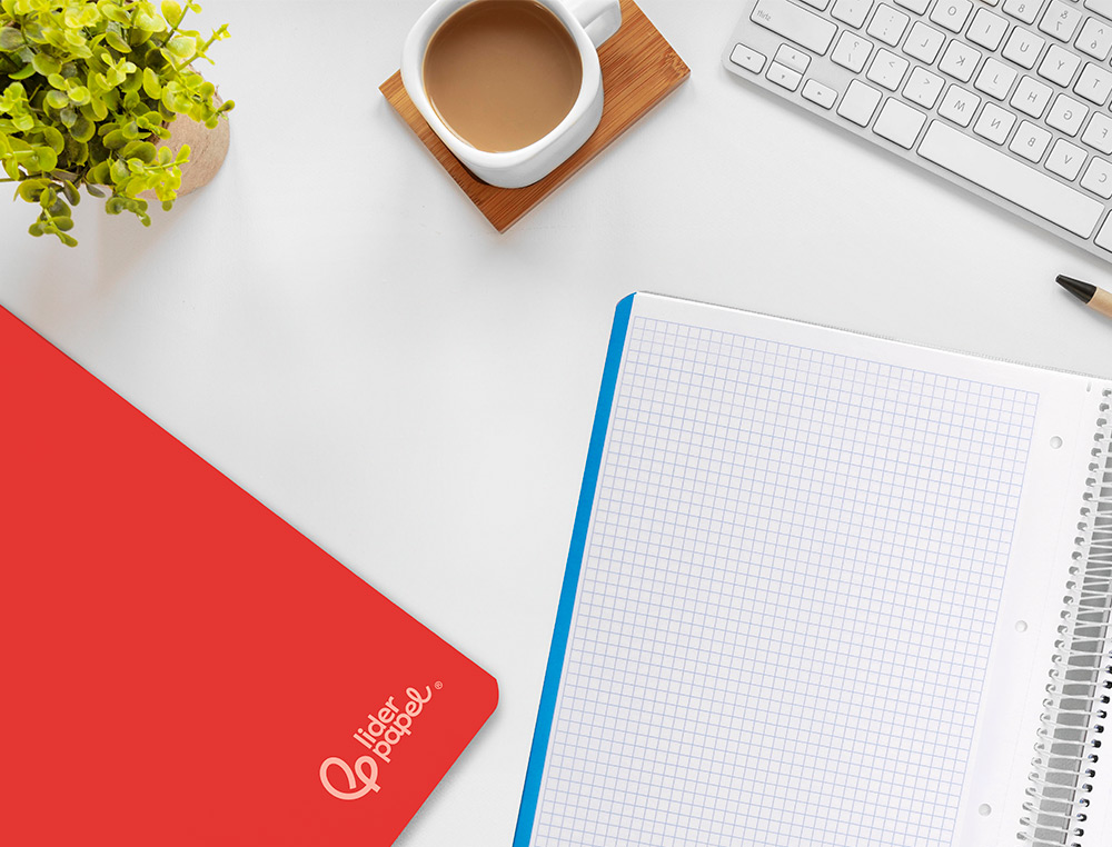 CAHIER SPIRALE LIDERPAPEL WITTY A4 COUVERTURE RIGIDE    120 FEUILLES 90G/M2 5X5MM 4   TROUS PERFORES COLORIS