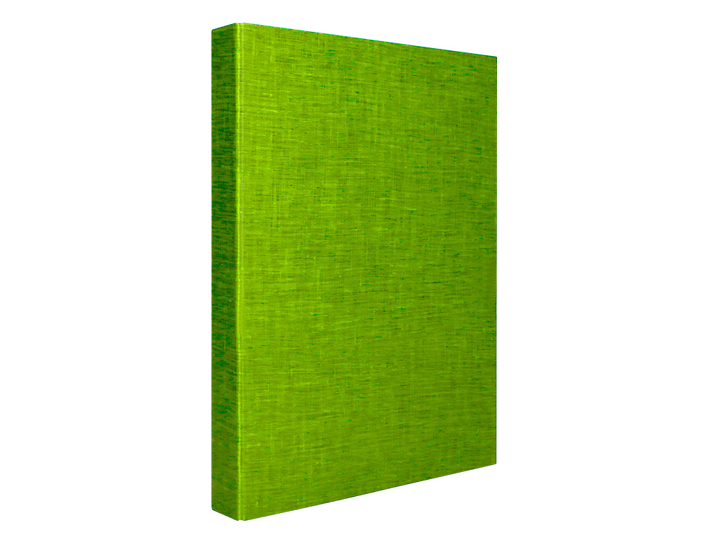 CLASSEUR LIDERPAPEL 4 ANNEAUX RONDS 25MM A4+ CARTON REMBORDÉ PAPER COAT COLORIS VERT CLAIR