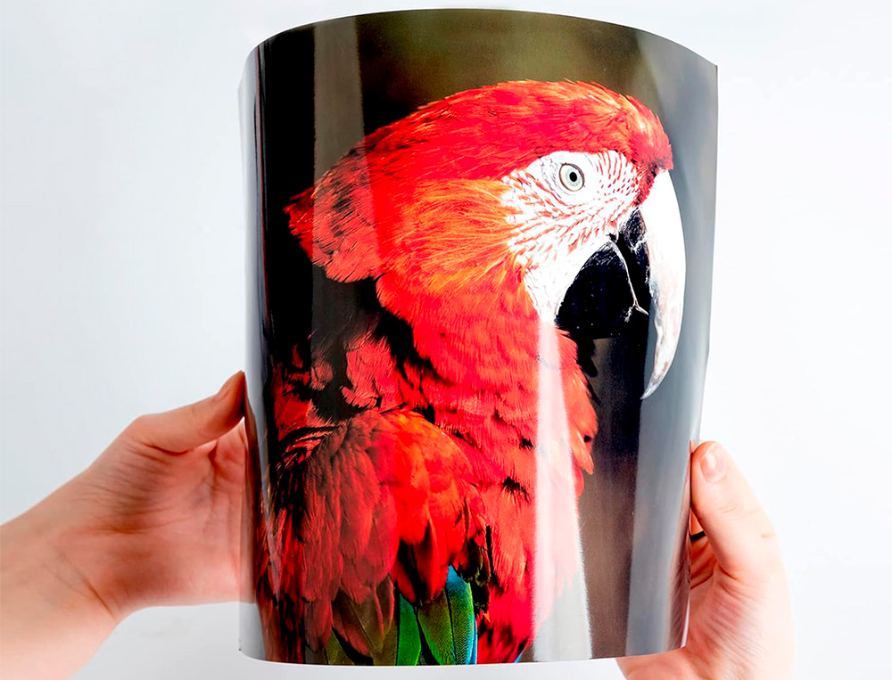 PAPIER PHOTO Q-CONNECT JET D'ENCRE GLACÉ ULTRA BRILLANT A4 260G COMPATIBLE TOUTE IMPRIMA NTE PAQUET 50 FEUILLES