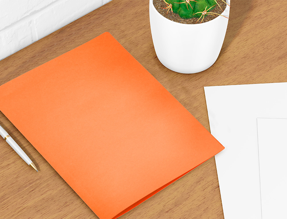 SOUS-CHEMISE LIDERPAPEL PAPIER CARTONN 180G 310X230MM DOCUMENT A4 210X297MM COLORIS      ORANGE INTENSE