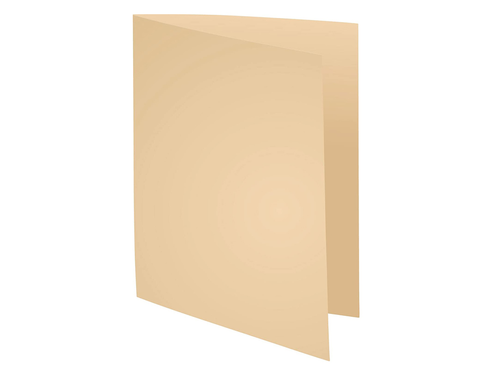 CHEMISE EXACOMPTA FOREVER CARTE RECYCLE 220G A4 24X32CM COLORIS BULLE PAQUET 100 UNITS