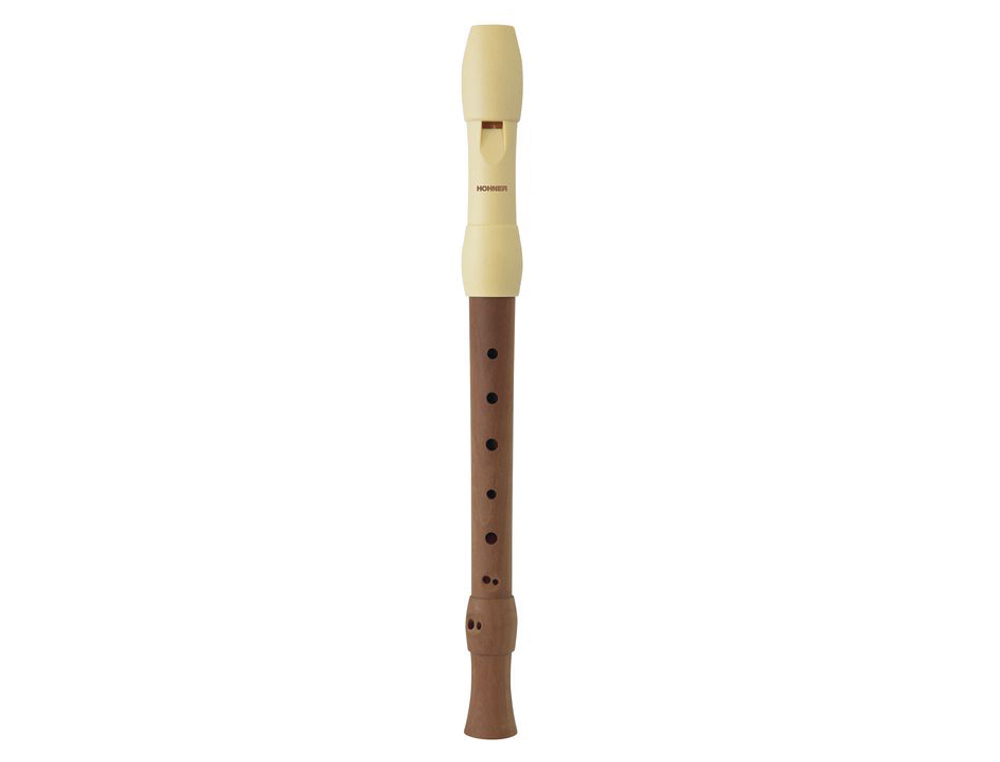 FLTE  BEC HOHNER EN BOIS 95850 HOUSSE BLEUE