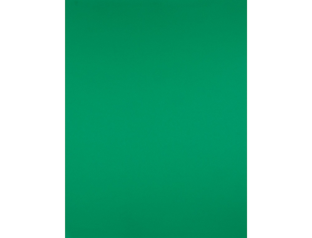 PAPIER CARTONN LIDERPAPEL DESSIN TRAVAUX MANUELS 240G/M2 50X65CM UNICOLORE VERT NOL