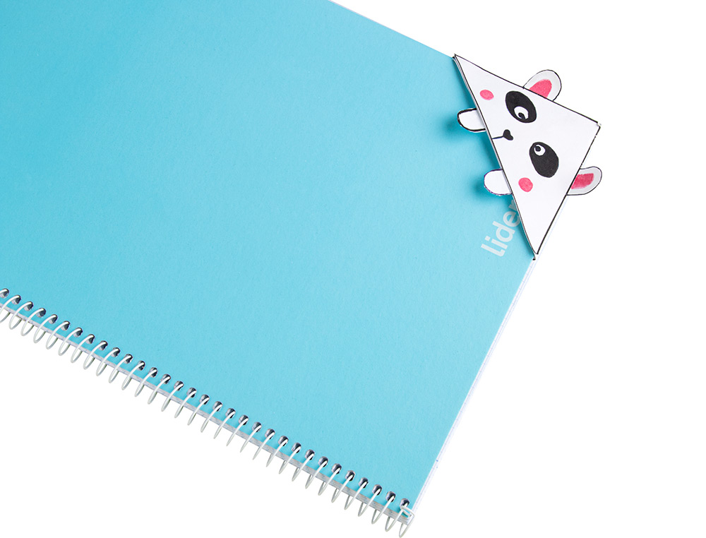 PAPIER CARTONNE LIDERPAPEL 50X65CM 180GR COLORIS GRIS