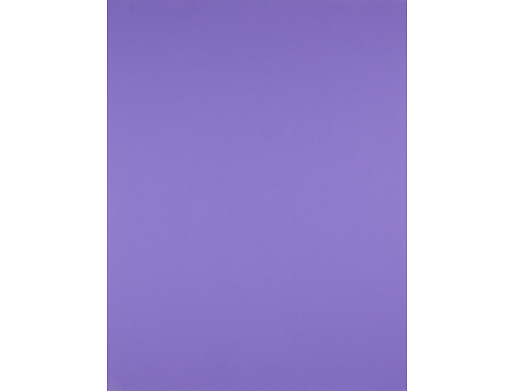 PAPIER CARTONNE LIDERPAPEL 50X65CM 180GR COLORIS POURPRE