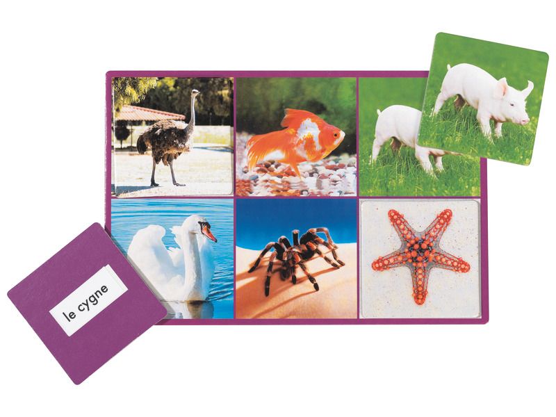Loto photo : les animaux