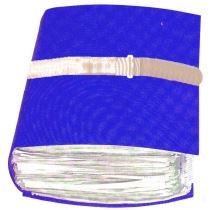 SULLY  Sangle velcro  boucle