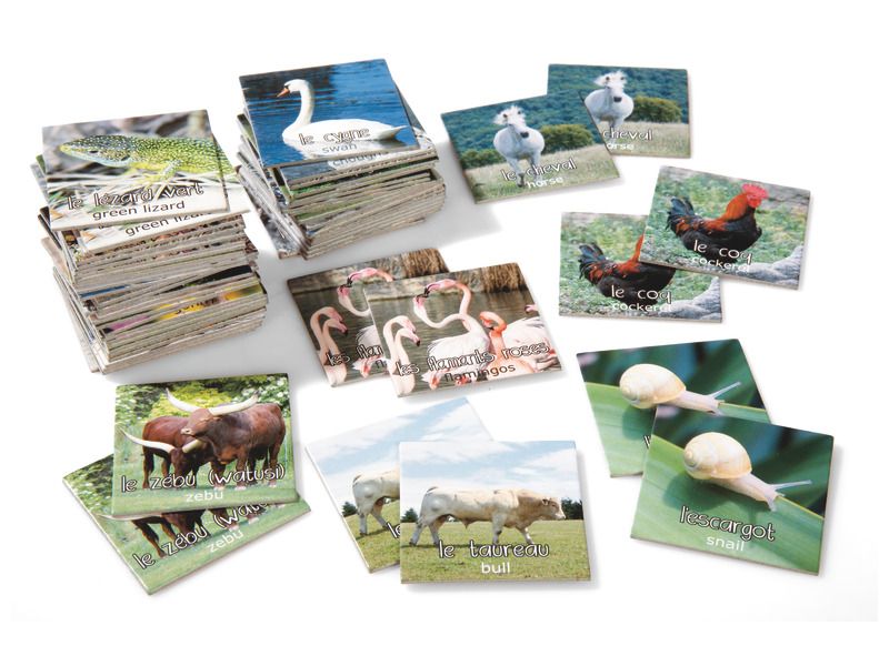 Mmo photo Les animaux- le jeu de 30 cartes: ct 6 cm.