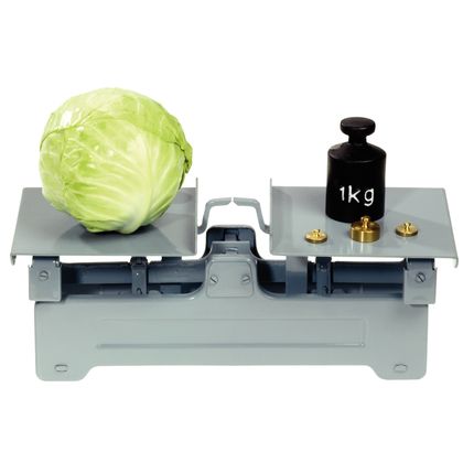 Balance mtal  2 plateaux